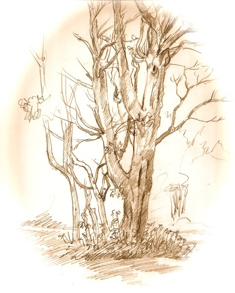 Antiqued tre drawing