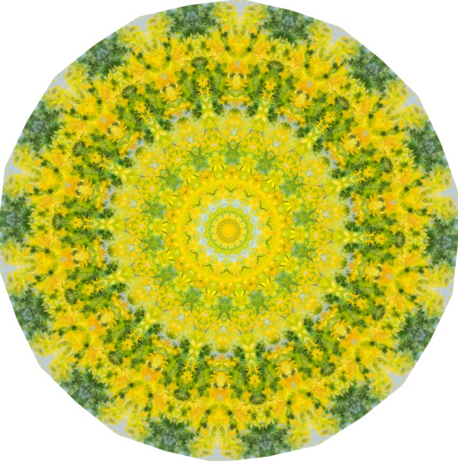 Hotham Autumn Mandala